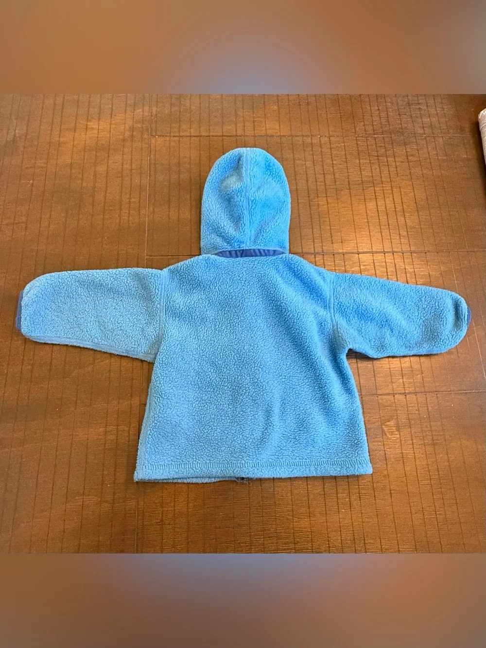 Patagonia Baby Hooded Fleece Jacket in blue size 6 month
